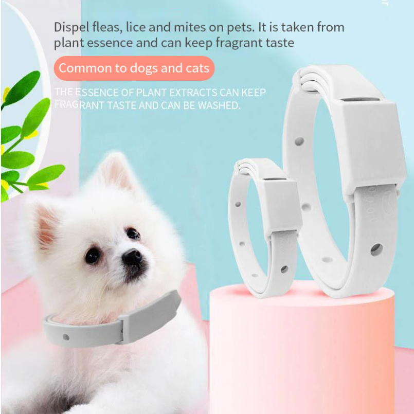 Anti Flea Tick Collar For Cat  - đánh giá và giá Pet Immune Pir Sensor