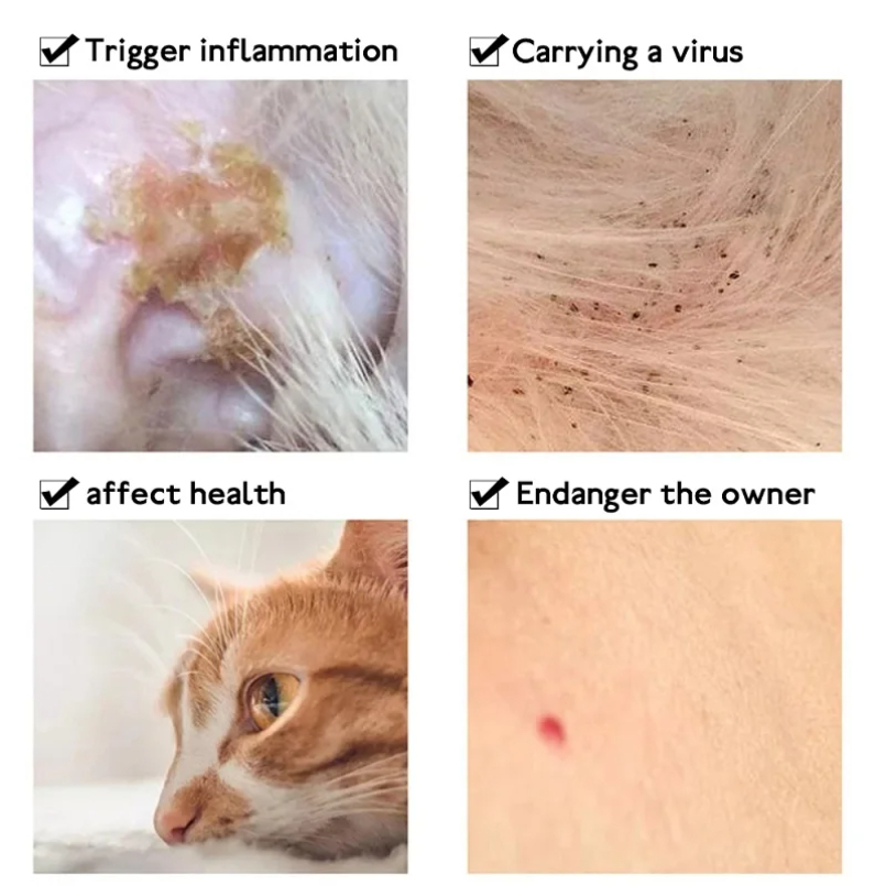 Anti Flea Tick Collar For Cat  - đánh giá và giá Pet Immune Pir Sensor
