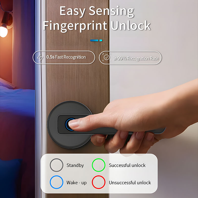 Home Security Lever-handle Loc - đánh giá và giá Home Security Lock System