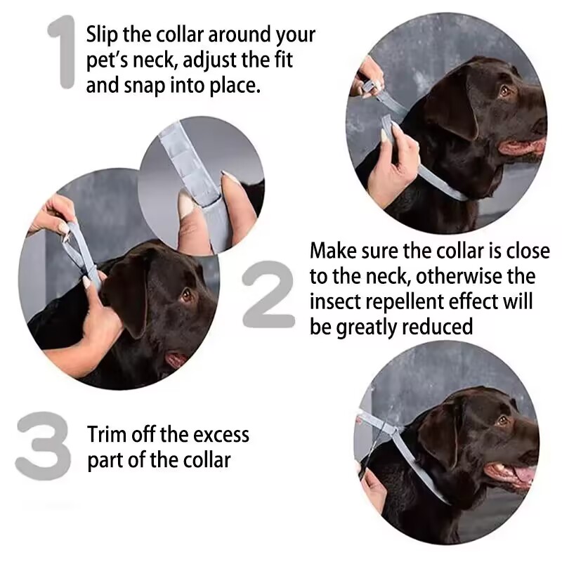New Releases Dog Collar,Cat An - đánh giá và giá Pet Immune Pir Sensor